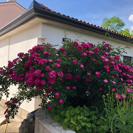 Milla 2 Apartment Rijeka Ngoại thất bức ảnh
