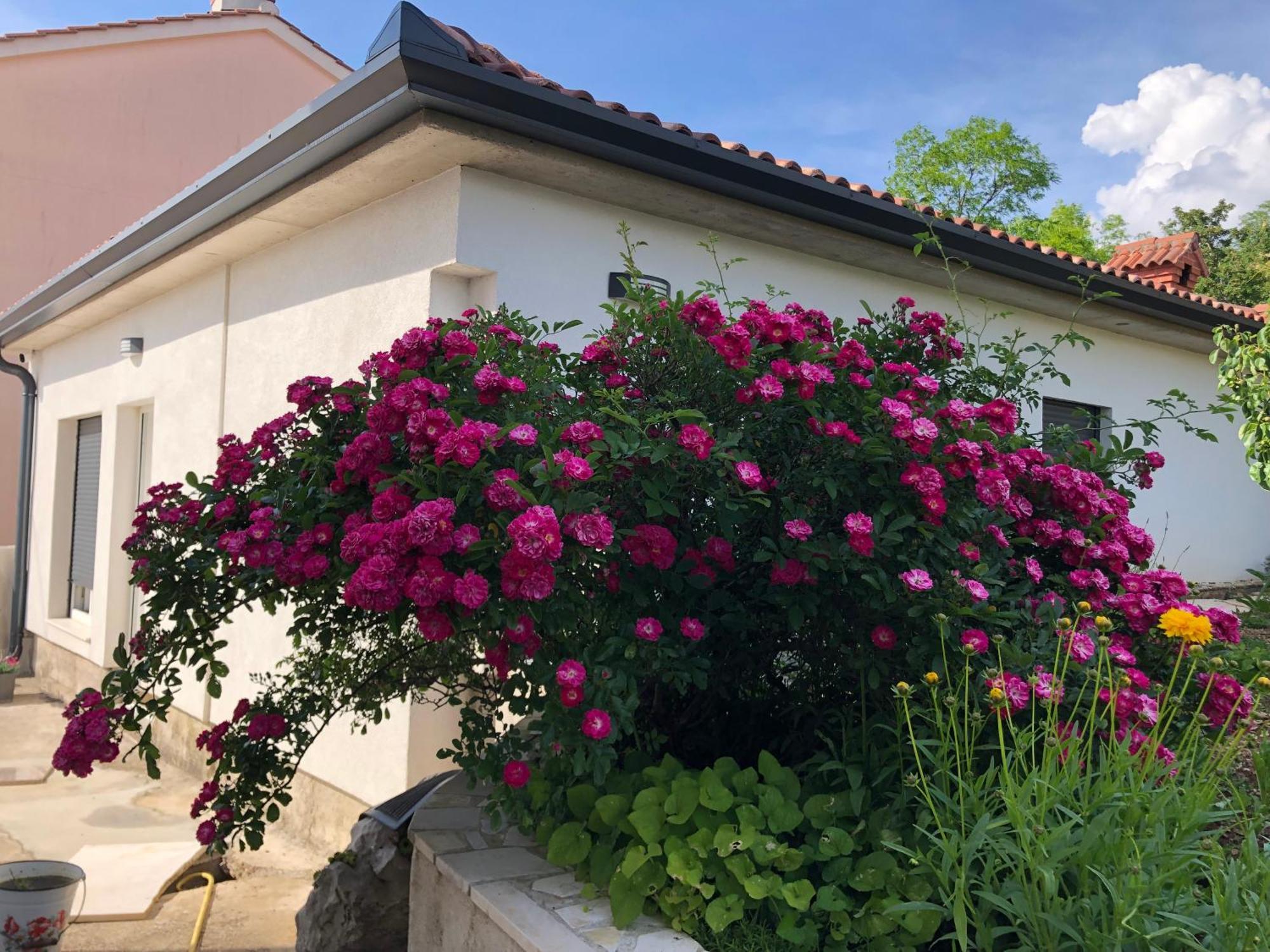 Milla 2 Apartment Rijeka Ngoại thất bức ảnh